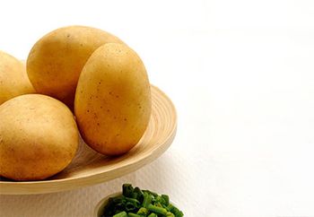 Bulvių veislė Concordia