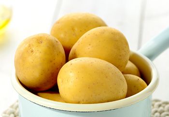 Bulvių veislė ANUSCHKA