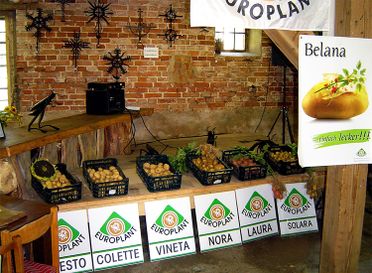 Potatoes