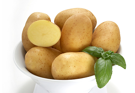 Bulvių veislė Julinka
